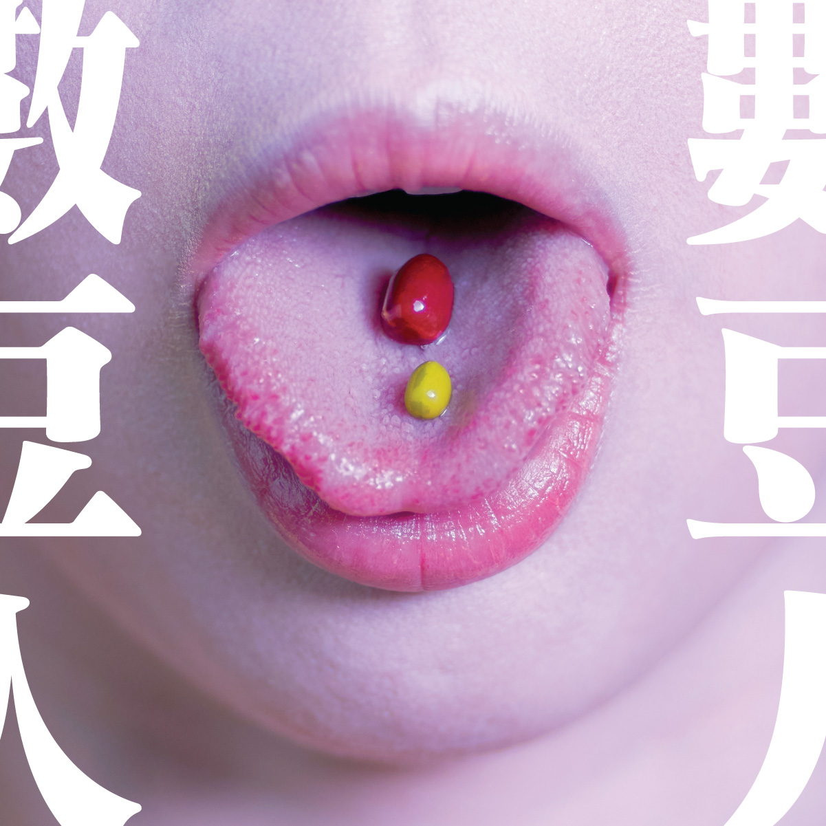 咬文嚼字：數豆人