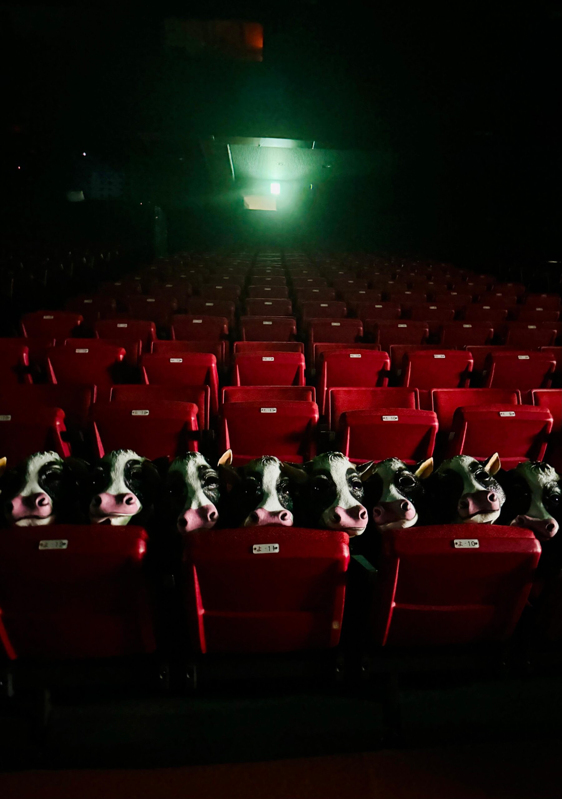 PHOTO-2025-06-23-14-33-47副本